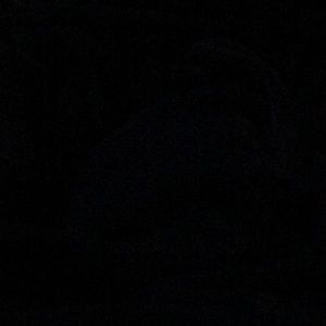 Meet your Posher, Betsy